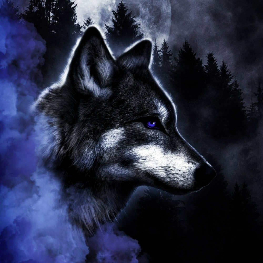 18+ Best Wolf Profile Pictures & Dp Download